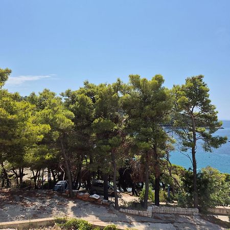 Apartment Kristic - Saplunara, Mljet Babino Polje Buitenkant foto