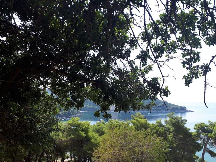 Apartment Kristic - Saplunara, Mljet Babino Polje Buitenkant foto