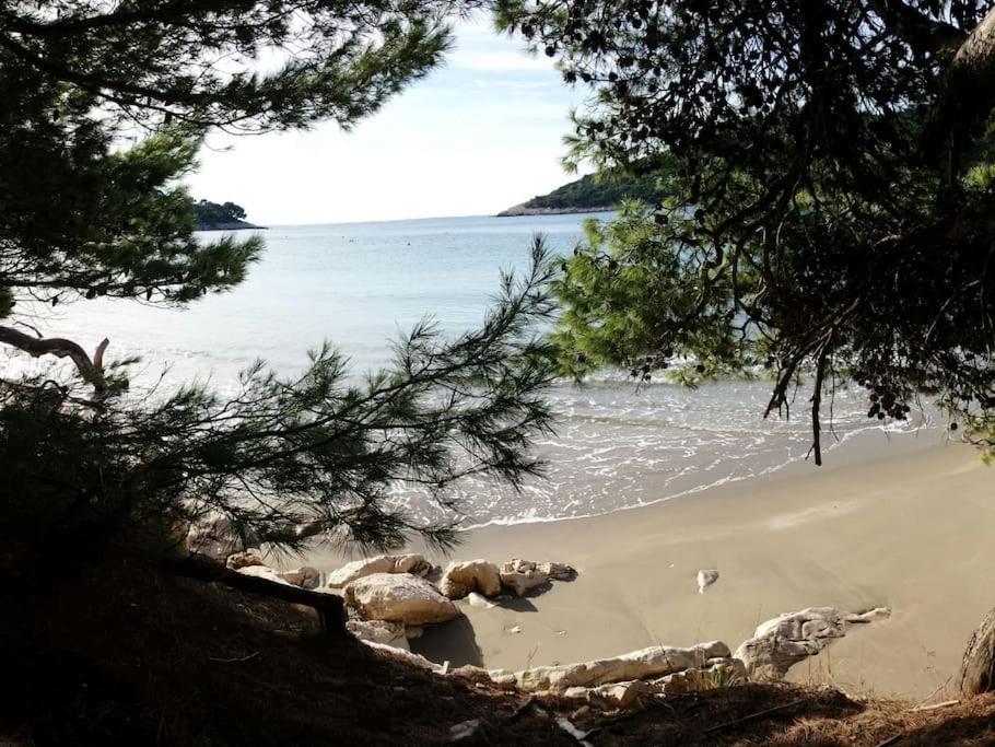 Apartment Kristic - Saplunara, Mljet Babino Polje Buitenkant foto