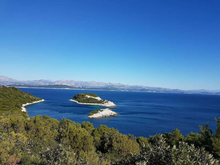 Apartment Kristic - Saplunara, Mljet Babino Polje Buitenkant foto