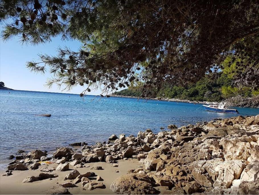 Apartment Kristic - Saplunara, Mljet Babino Polje Buitenkant foto