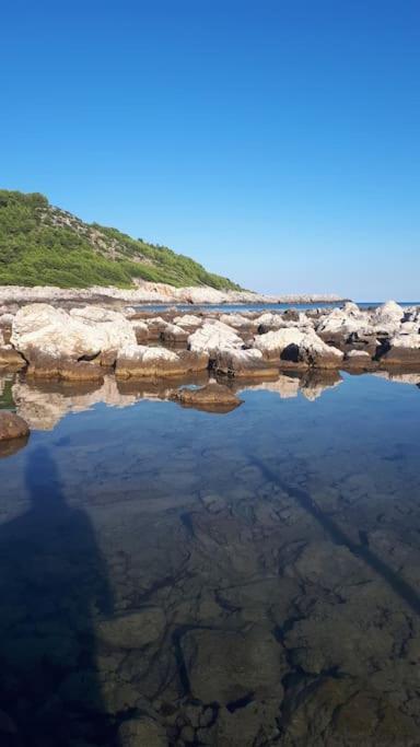 Apartment Kristic - Saplunara, Mljet Babino Polje Buitenkant foto